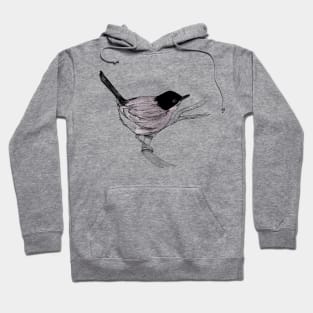 Blackcap Bird Hoodie